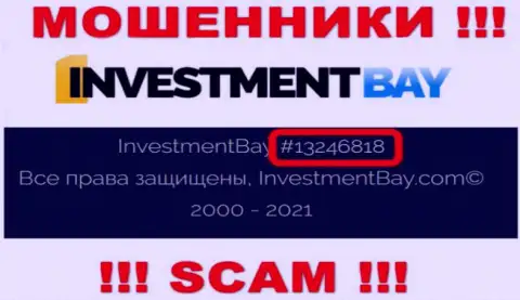 Номер регистрации, под которым зарегистрирована компания Investment Bay: 13246818
