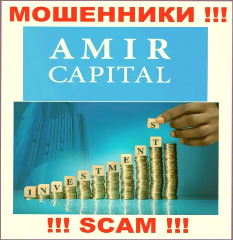 Не вводите финансовые активы в Амир Капитал, сфера деятельности которых - Инвестиции