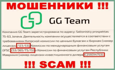 Слишком рискованно доверять конторе GG Team, хоть на веб-сервисе и показан ее лицензионный номер