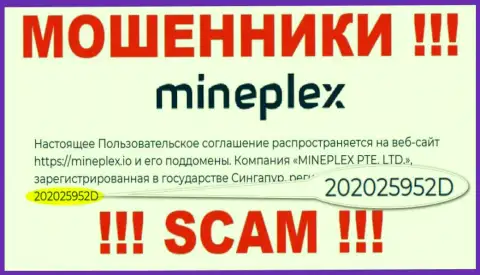 Регистрационный номер очередной жульнической компании МинеПлекс ПТЕ ЛТД - 202025952D