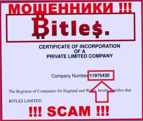 Регистрационный номер internet-мошенников Битлес, с которыми очень рискованно совместно работать - 11975430