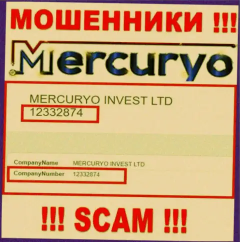 Регистрационный номер преступно действующей организации Меркурио Ко Ком: 12332874