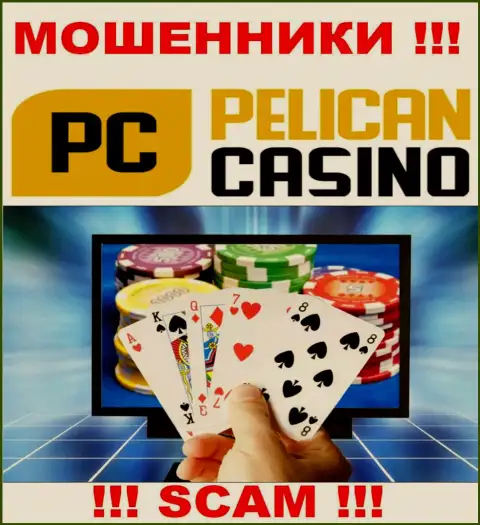 PelicanCasino Games лишают средств людей, прокручивая свои делишки в сфере Казино