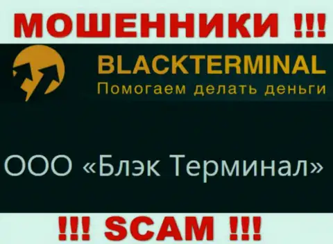На официальном web-сервисе Black Terminal написано, что юридическое лицо организации - ООО Блэк Терминал
