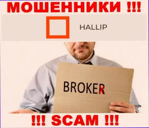 Род деятельности internet мошенников Hallip Com это Broker, однако знайте это развод !