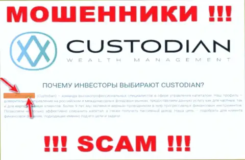 Юр. лицом, управляющим internet мошенниками Кустодиан, является ООО Кастодиан
