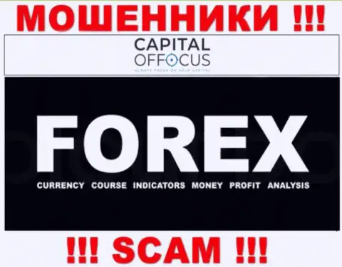 С организацией CapitalOfFocus Com связываться слишком рискованно, их направление деятельности Форекс - это ловушка