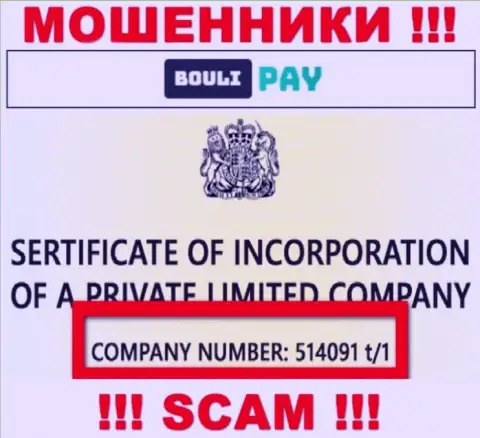 Регистрационный номер Bouli Pay может быть и фейковый - 514091 t/1