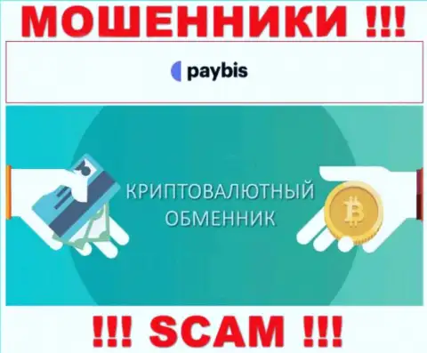 Крипто обменник - это направление деятельности мошеннической конторы PayBis