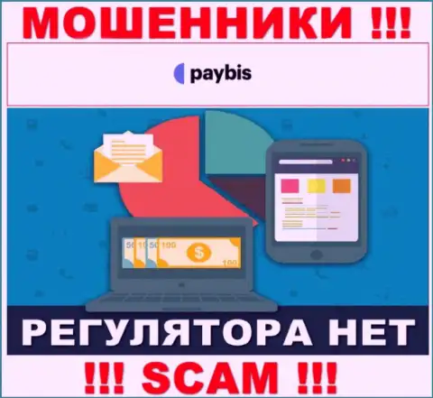 У PayBis на веб-ресурсе не найдено сведений о регуляторе и лицензии компании, а следовательно их вовсе нет