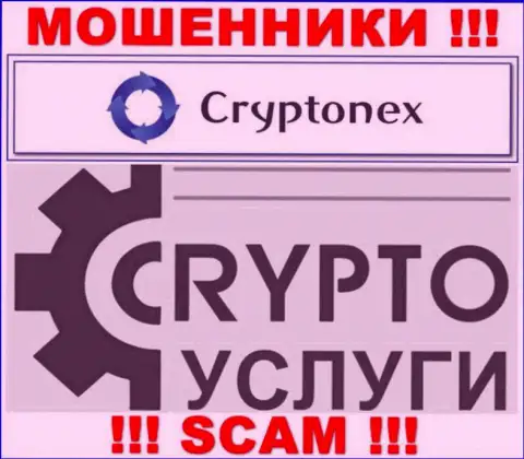 Работая совместно с CryptoNex, сфера деятельности которых Крипто услуги, можете лишиться своих вкладов