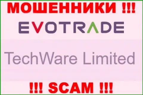 Юридическим лицом ЕвоТрейд считается - TechWare Limited