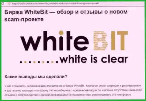 White Bit - это контора, работа с которой приносит лишь убытки (обзор противозаконных деяний)
