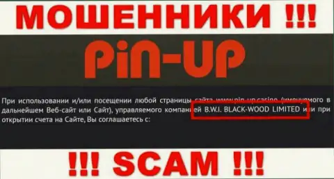 Мошенники PinUp Casino принадлежат юридическому лицу - B.W.I. BLACK-WOOD LIMITED