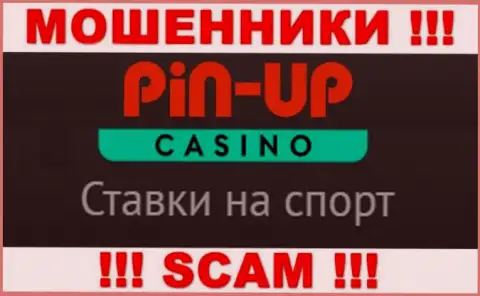 Основная работа Pin Up Casino - это Casino, будьте осторожны, работают противозаконно