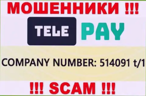 Номер регистрации Tele Pay, который предоставлен мошенниками у них на онлайн-ресурсе: 514091 t/1