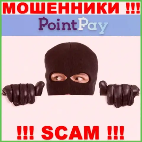 О руководителях мошеннической организации PointPay сведений нигде нет