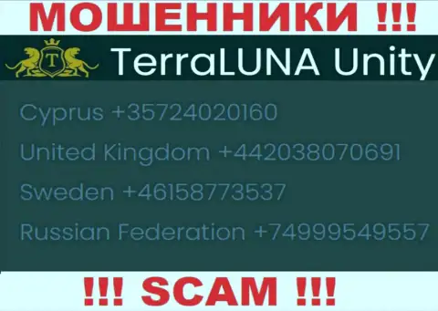 Звонок от лохотронщиков TerraLunaUnity можно ожидать с любого номера телефона, их у них множество
