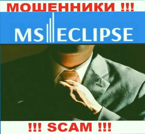 Инфы о лицах, которые руководят MS Eclipse в сети интернет разыскать не удалось