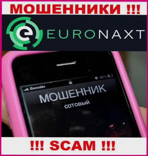 Вас хотят развести на деньги, EuroNaxt Com подыскивают очередных лохов