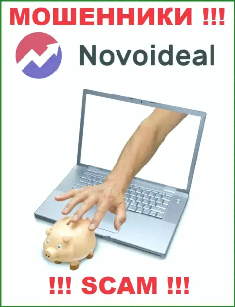 Вы глубоко ошибаетесь, если ожидаете заработок от сотрудничества с брокерской компанией Novo Ideal - это МОШЕННИКИ !!!