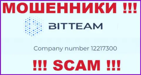 Номер регистрации компании BitTeam - 12217300