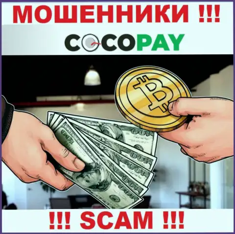 Не рекомендуем доверять финансовые вложения Coco Pay, потому что их направление деятельности, Обменник, разводняк