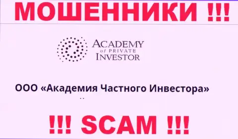 ООО Академия Частного Инвестора - это руководство бренда AcademyPrivateInvestment