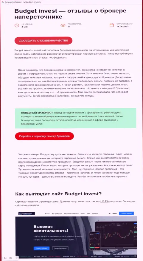 BudgetInvest - это ЖУЛИКИ !!!  - достоверные факты в обзоре мошеннических уловок организации
