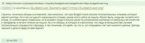 Автор комментария утверждает о том, что Буджет Инвест - это МОШЕННИКИ !!! Работать с которыми очень опасно