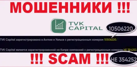 Будьте крайне бдительны, наличие номера регистрации у TVK Capital (10506220) может быть приманкой