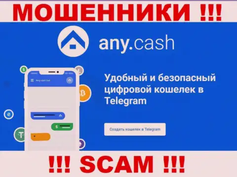 Any Cash это мошенники, их работа - Криптовалютный кошелек, направлена на кражу депозитов людей