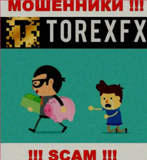 Весьма рискованно совместно сотрудничать с дилинговой компанией TorexFX - обманывают валютных трейдеров