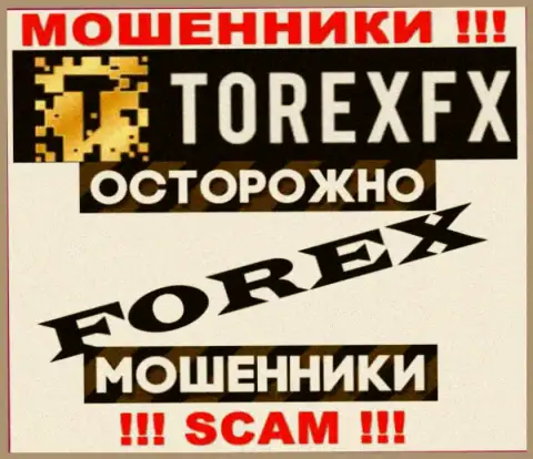 Сфера деятельности Torex FX: ФОРЕКС - хороший доход для разводил